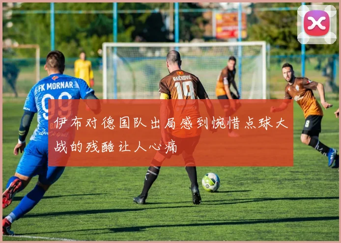 伊布对德国队出局感到惋惜点球大战的残酷让人心痛